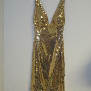 Special occasion holiday dress.